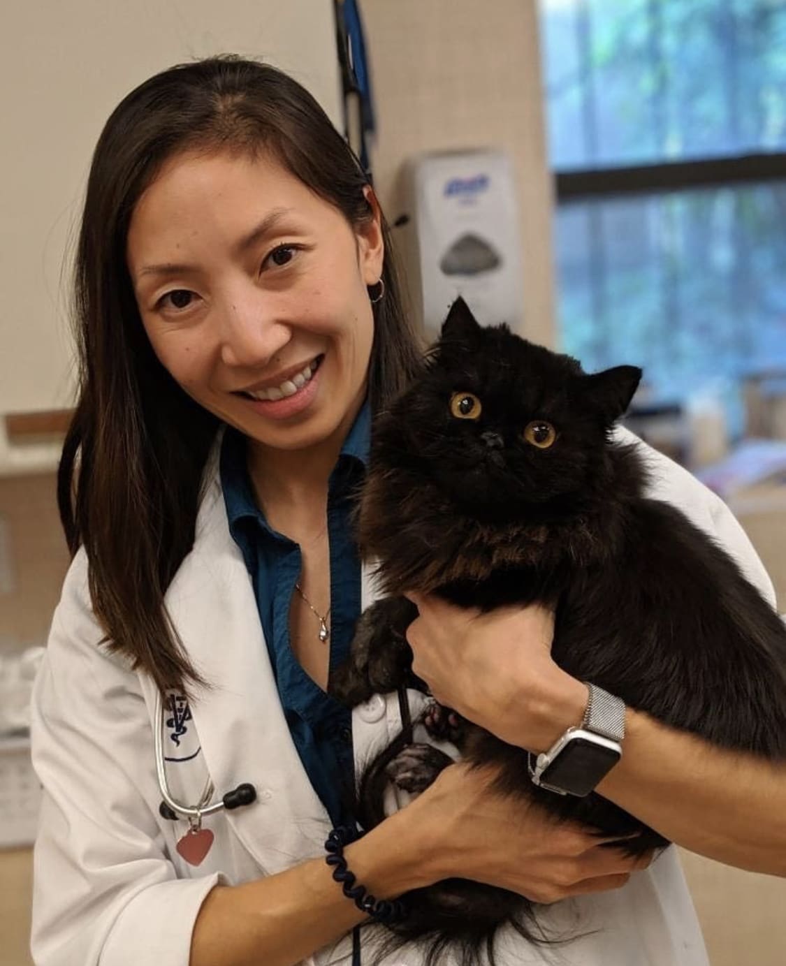 Veterinarian in New York, New York | Heart of Chelsea Veterinary Group.