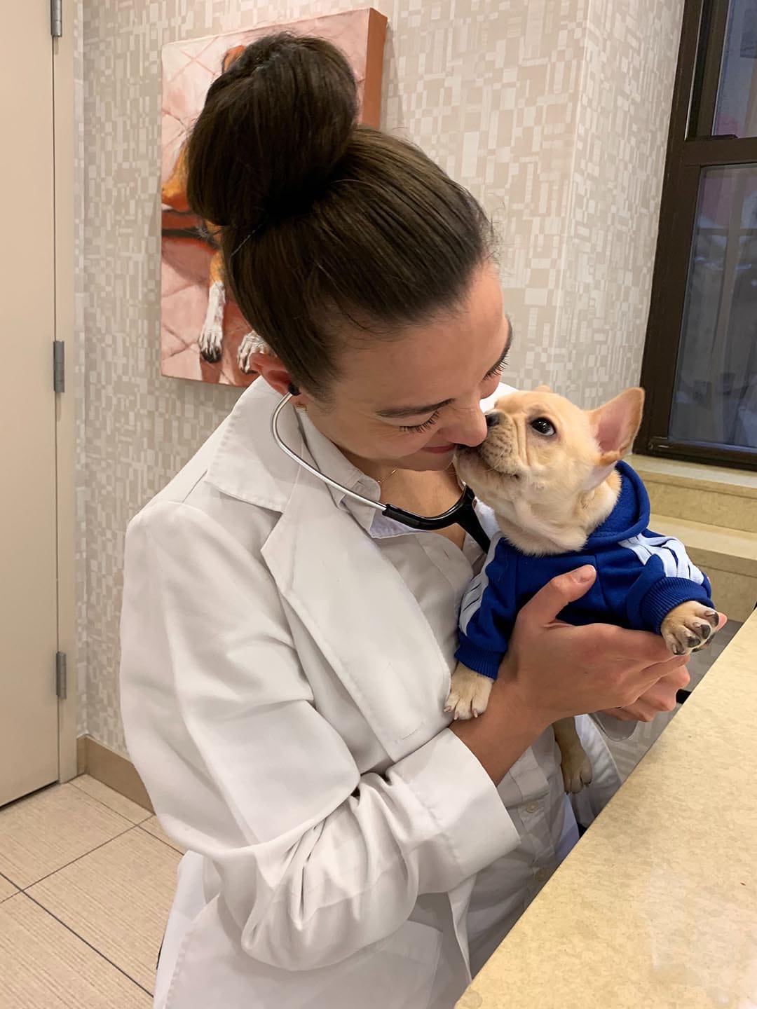 Young Dog Kissing Doctor