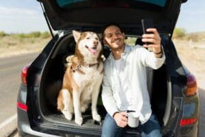 how to road trip with dog new york
