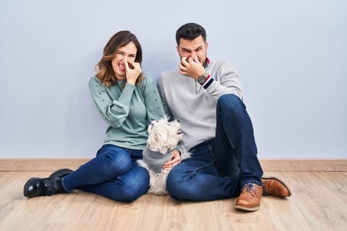 man-and-woman-sitting-on-floor-with-dog-holding-their-noses-in-disgust