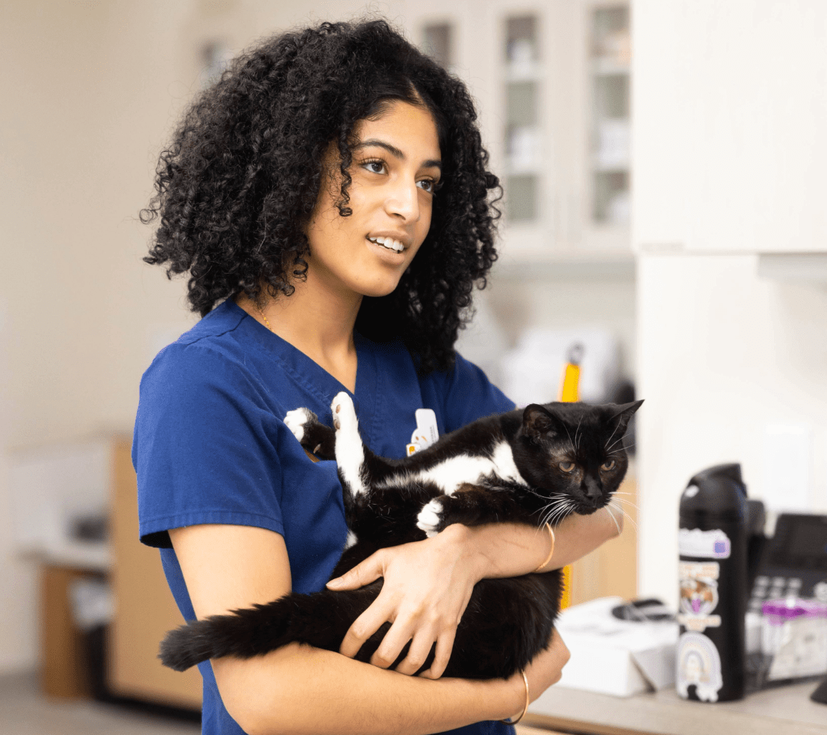 Vet Tech Holding Cat