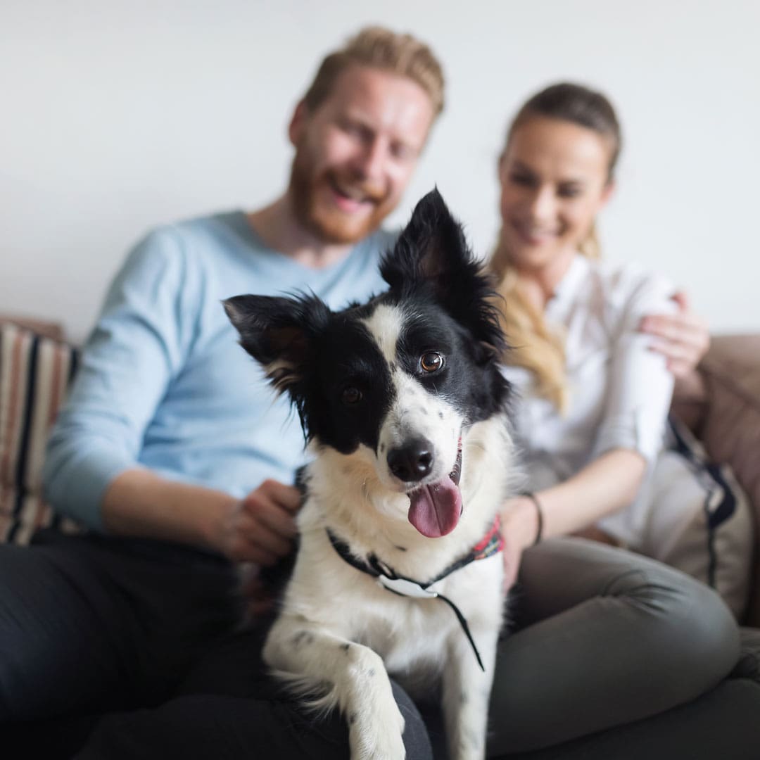 Couple With Their Dog Couple With Their Dog