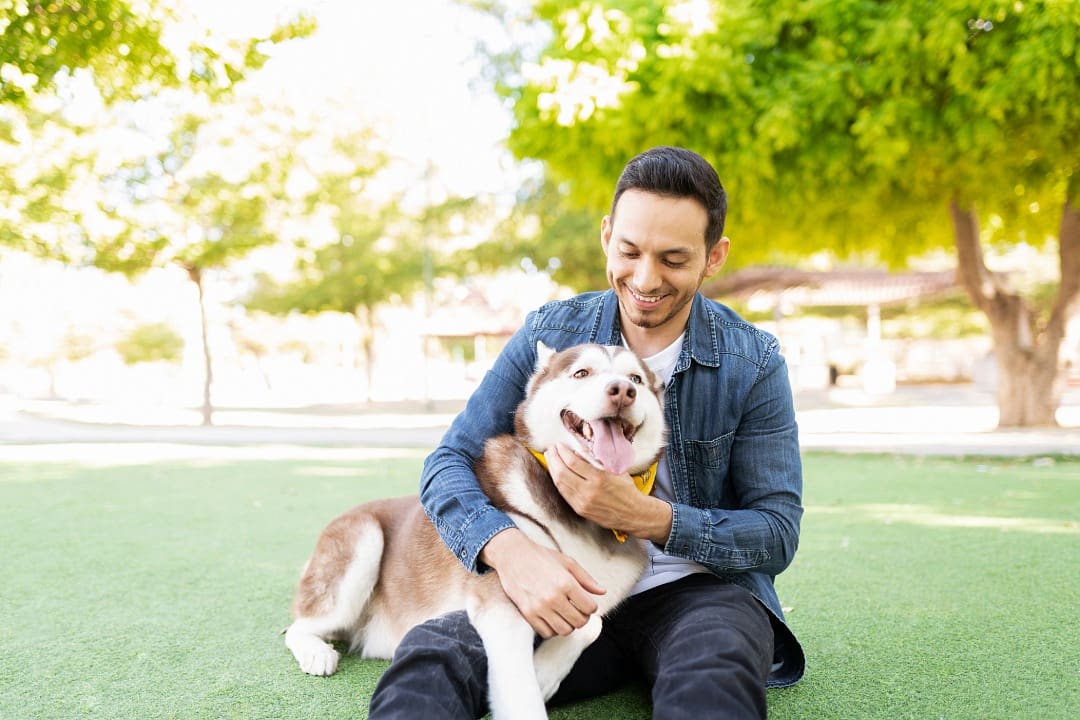 male sitting on grass holding a husky dog