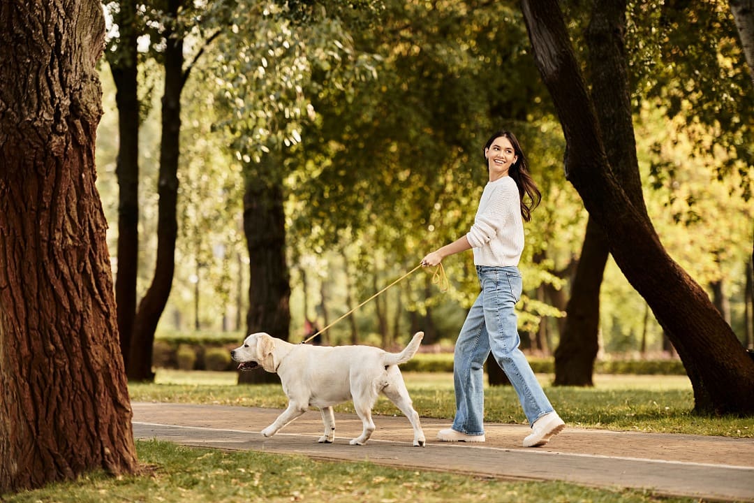 Female walking her yellow Labrador through the park on a path