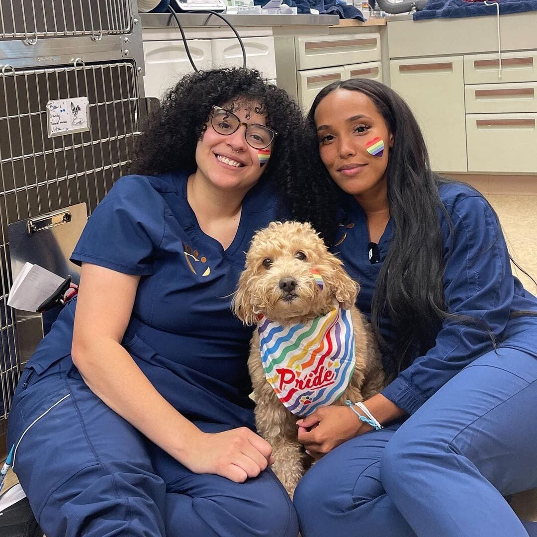 veterinary careers new york city